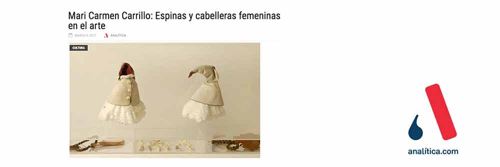 Analitica, critica